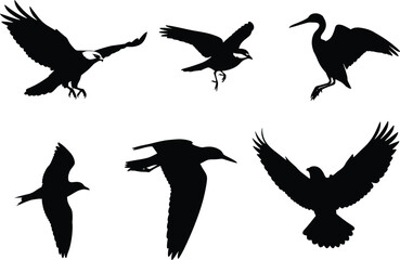 Obraz premium Bird silhouette vector set, six flying and landing poses with wings spread, black icons for nature, wildlife, freedom, and motion