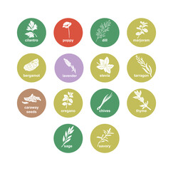Spices and herbs stickers and labels. Different color packaging for food preparing and culinary. Bags with herbs. Cilantro, poppy, dill, marjoram, bergamot organic product for selling vector set.