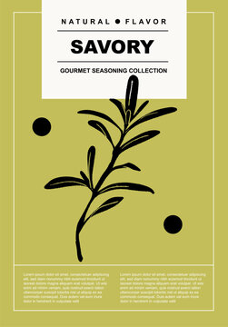 Savory. Set of posters of spices and herbs in a abstract draw design. Label or poster for food preparing and culinary. Simple, flat design. For poster, cover, banner.	