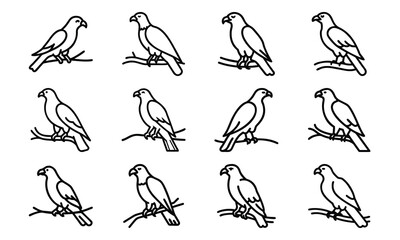 Obraz premium Collection of Line Art Icons – Birds, Flying Dove, Duck Family, Owl Face, Hummingbird, Parrot, Kite, Crane, and Decorative Floral Symbol Outline on White Background