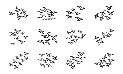 Collection of Line Art Icons – Birds, Flying Dove, Duck Family, Owl Face, Hummingbird, Parrot, Kite, Crane, and Decorative Floral Symbol Outline on White Background