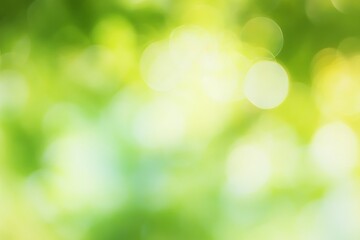 Gentle Spring Light and Green Bokeh Wallpaper Delicate Blurred Glowing Summer Background Design