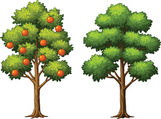 Two Lush Green Trees with One Full of Ripe Oranges and the Other Empty, Isolated on White Background, Vector Illustration