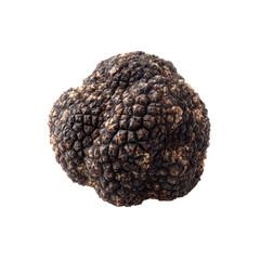 Black Truffle for Transparent Background