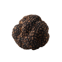 Food Element Black Truffle