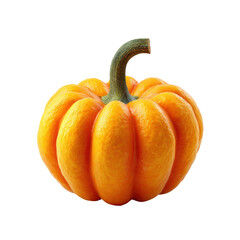 Single Mini-Pumpkin