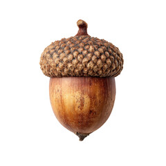 High-Resolution Acorn for Design