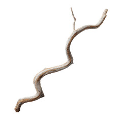 Dried Branch with Transparent Background