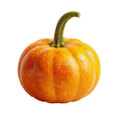 Obraz premium Professional Mini-Pumpkin Product Shot