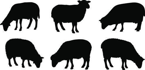 Sheep silhouette, grazing sheep icon, black sheep vector, farm animal graphic, wool texture design, livestock shape, standing sheep pose, nature art