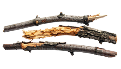 Broken tree branches with detached bark, rustic wooden fragments, aged and weathered surfaces, rough textures, isolated on clean white background, natural organic material, outdoor forest debris, usef