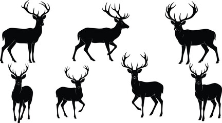 Deer silhouette, antlers, wildlife, animal pose, black silhouette, forest creature, stag, nature, hunting, illustration, vector, isolated, majestic, horns, buck, standing deer, wild