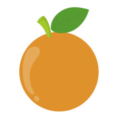 this is a vector image of an orange fruit