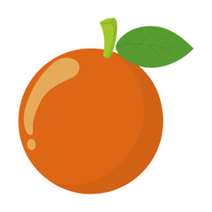 this is a vector image of an orange fruit