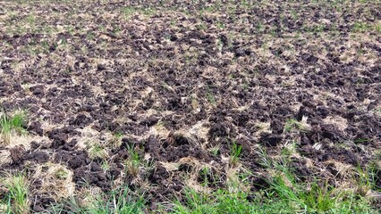 秋の収穫後の藁の残る耕作された近郊の田んぼ風景