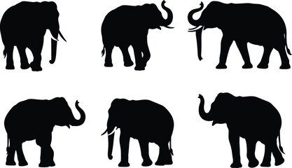 Elephant, silhouette, black, animal, wild, jungle, trunk, pose, illustration, vector, graphic, wildlife, standing, walking, sitting, side view, front view, nature, majestic, mammal