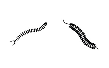 Two curving black leaf sprigs with alternating leaf patterns on a stark white background scene