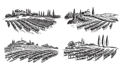 Vineyard landscape with building on the hill hand drawn, set.	