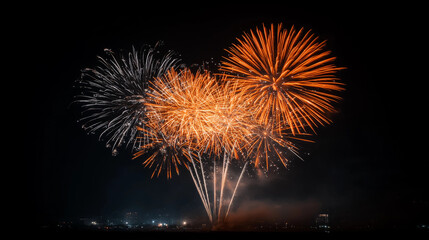 Colorful fireworks illuminate the night sky in a spectacular celebration