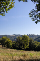 autumn landscape with trees