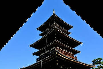 Fototapeta premium 奈良、藥師寺、佛寺、寺院、文化財、木造建築、古代建築、日本文化、歷史名勝、文化財、木、綠色、青空、写真素材 