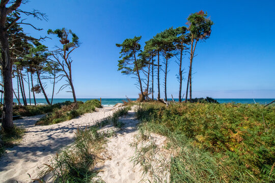 Dar&szlig;er Weststrand, einer der sch&ouml;nsten Str&auml;nde der Welt.