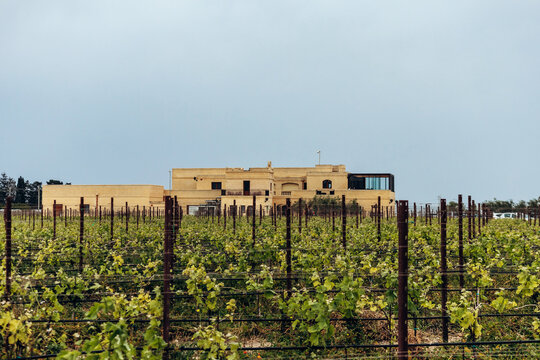 Attard, Malta - April 14, 2025: Vineyard rows and the beige limestone building of Meridiana Wine Estate in Ta' Qali, a renowned winery located near Mdina on the island of Malta