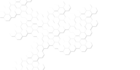 Abstract technology background vector white hexagon background. Hexagon paper texture and futuristic business. Surface polygon pattern with glowing hexagon grid cell texture.  © armans
