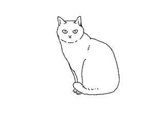 横向きに座るって正面を見る白猫の白黒イラスト