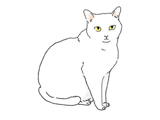 手描き風正面を向いて座る白猫