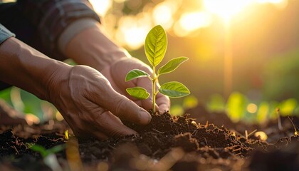 Planting a Seed of Hope Hands Nurturing New Life in Earth at Sunset