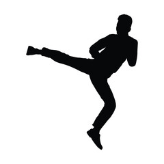 A silhouette of a man performing a high kick, illustrating martial arts, self-defense, and dynamic action with precision.