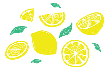 Handrawn lemon slice set vector
