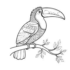 toucan on a branch