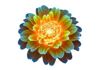 A vibrant, radiant dahlia flower glows with hues of orange, yellow, and blue in a striking close-up against a stark black backdrop.