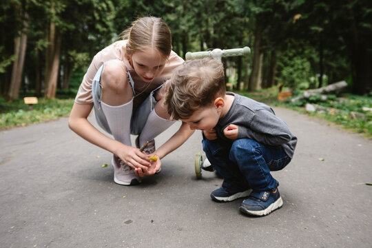 Children explore and search for nature in a park during summer