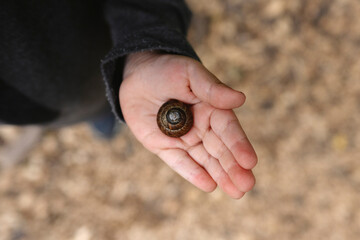 Child holding a snail in hand exploring nature outdoors