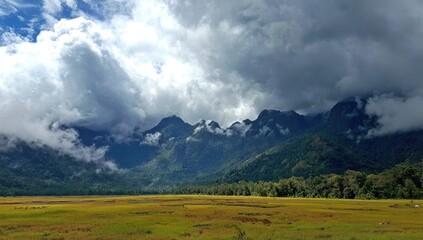 A vast, grassy plain stretches before a range of misty mountains, blanketed in lush green forests under a dramatic sky full of towering clouds.
