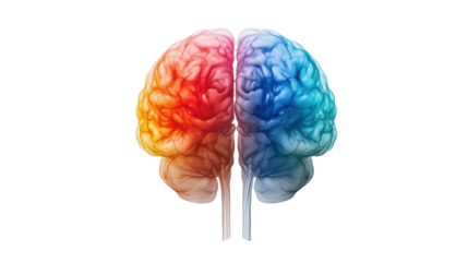 Colorful Human Brain Illustration with Left and Right Hemispheres on Transparent Background