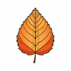 Colorful autumn birch leaf clip-art isolated on white background.
