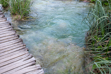 Wooden planks on the clear water of a lake with reeds