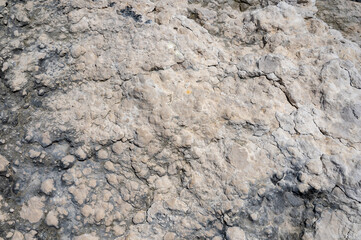 Rock texture