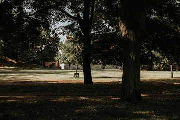 Fototapeta premium Lush green Vysehrad park with tall trees and open grassy area inviting relaxation and outdoor activities