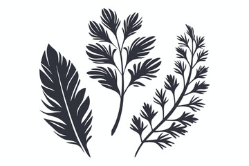 Isolated Botanical of Feather and Herbs on White