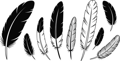 A collection of nine feathers in various sizes and designs, some solid black and others outlined.