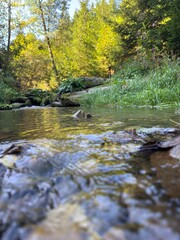 Nature photography Austria