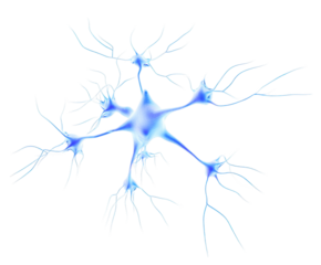 Blue Neuron Cell with Dendrites and Axon nerve cell brain isolated on a transparent background