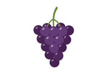A cluster of dark purple grapes hangs with a vibrant green stem