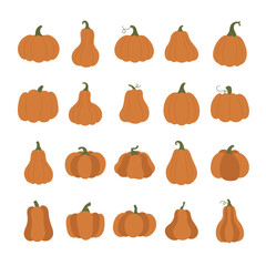 cute pumpkin hand-drawn illustration