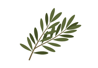 Olive branch Green leaves on brown stem angled view